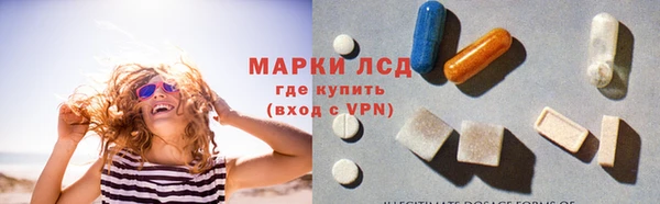 индика Заволжье