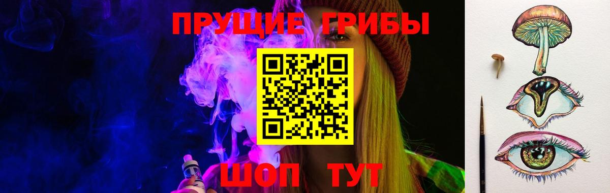дарнет шоп  Псилоцибиновые грибы GOLDEN TEACHER  Биробиджан  Вход с VPN  Галлюциногенные грибы Magic Shrooms 